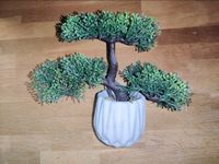 Bonsai Baum künstlich ca 22 cm x 24 cm Sammler Liebhaber Hessen - Groß-Gerau Vorschau