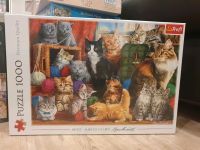 1000 Teile Puzzle Trefl - Feline Meeting Katzenpuzzle Nordrhein-Westfalen - Leverkusen Vorschau