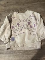 Zara Disney 134 Pulli Pullover Chipmunks beige ❤️❤️❤️ Kr. München - Haar Vorschau