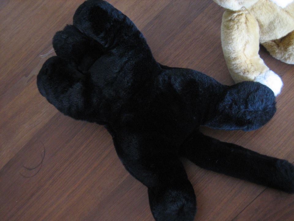 Steiff Teddybär Schlenkerteddy 123757  & Cosy Panther 088520  RAR in Karlsruhe