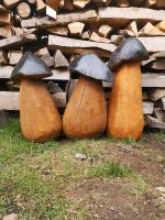 Holzpilz Holz Pilze Steinpilze Holzskultur Stihl Motorsäge Kunst Hessen - Breitscheid Vorschau