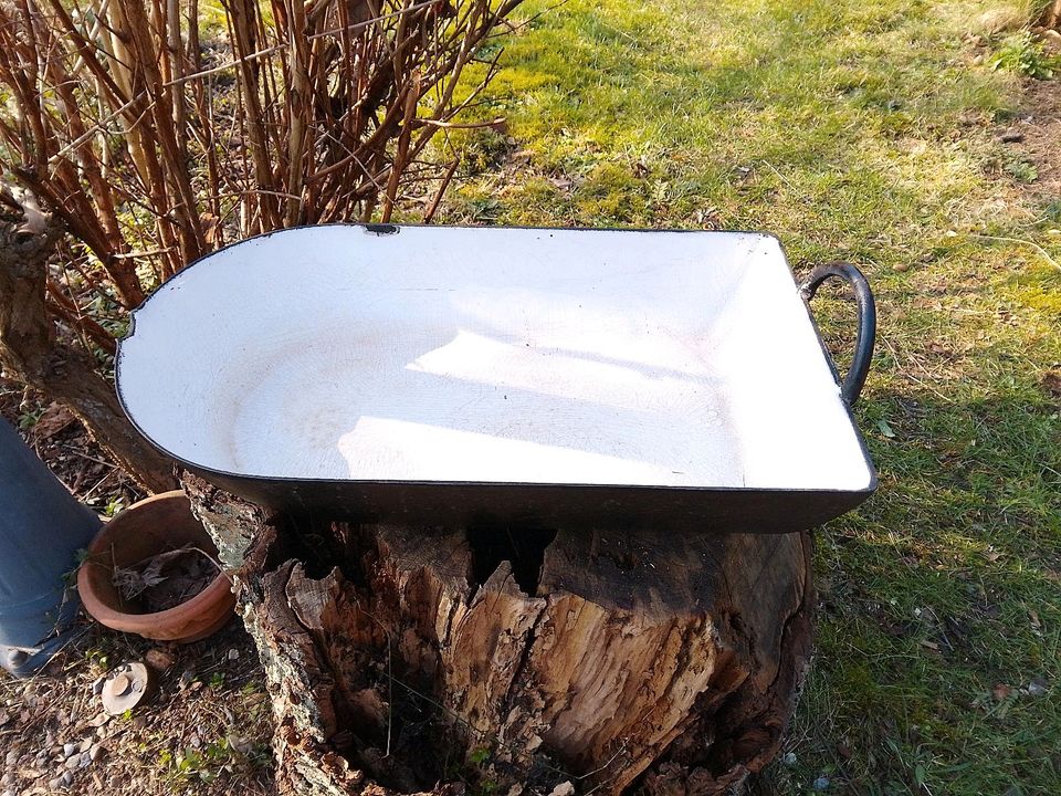 Pflanzen Blumenschale Topf Vogeltränke Garten Küchen Deko Bräter in Norderstedt