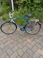 Fahrrad Villiger Crane 28er Nordrhein-Westfalen - Hamm Vorschau