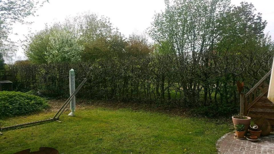 Gartenarbeit Gärtner Steinreinigung Malerarbeit in Stade