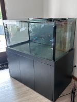 500L Meerwasser Aquarium  kpl. mit Unterschrank und Technikbecken Nordrhein-Westfalen - Mettmann Vorschau