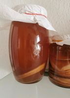 Kombucha SCOBYS Frankfurt am Main - Bockenheim Vorschau