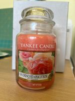 Yankee Candle Sun Drenched Apricot Rose neu Sachsen-Anhalt - Schönebeck (Elbe) Vorschau