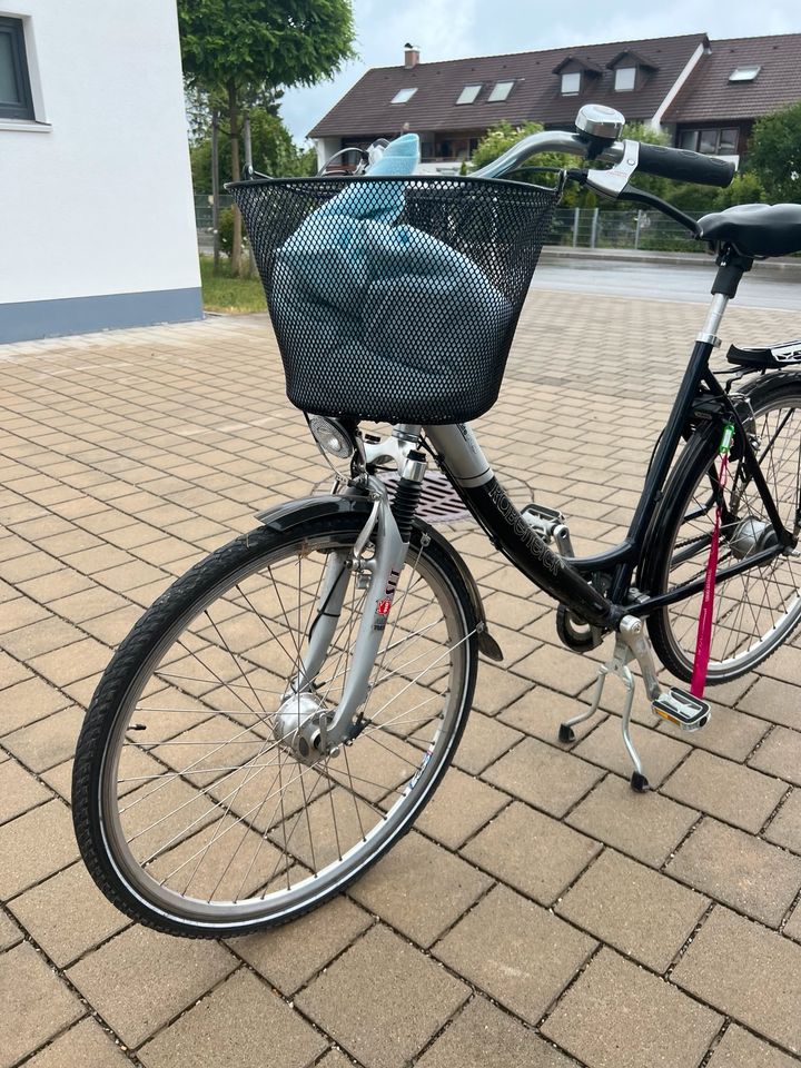 Fahrrad Damen tiefer Einstieg in Kaufbeuren