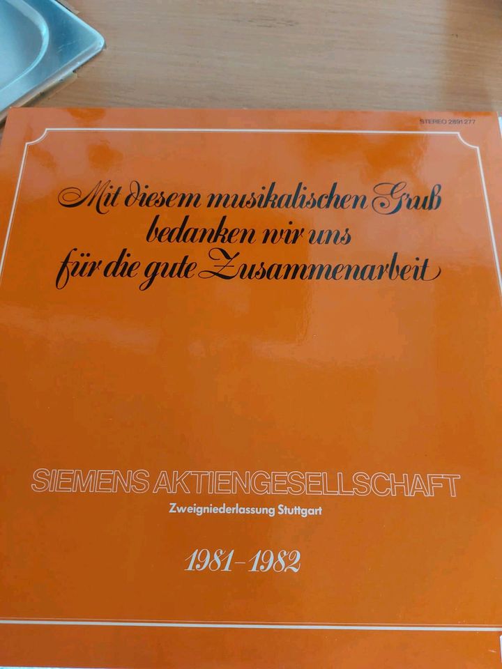 Verkaufe verschiedene LP Schallplatten Stück Preis 2€ in Zaberfeld