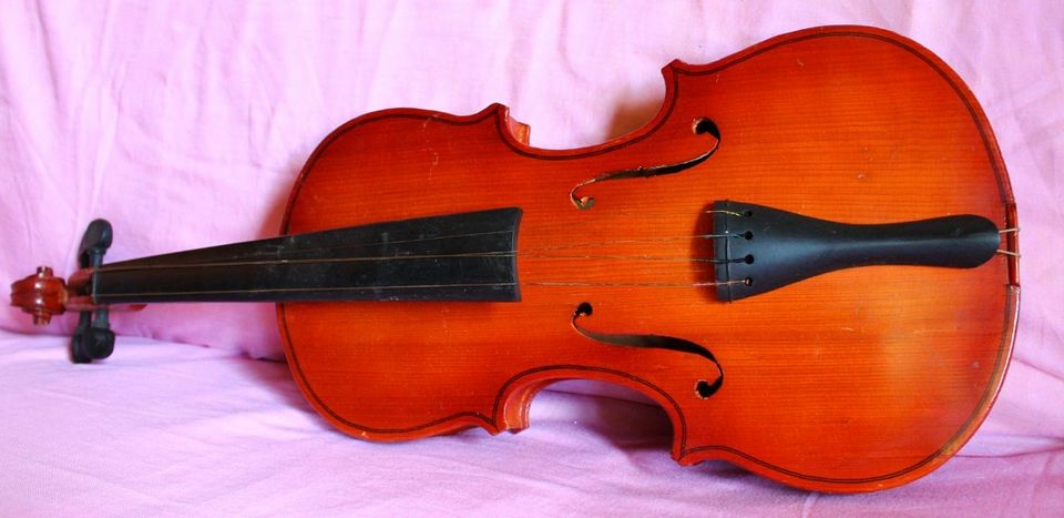 Geige Violine in Diepholz