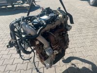 Fiat Ducato 2,3 JTD F1AE0481D Motor Triebwerk Nordrhein-Westfalen - Dorsten Vorschau