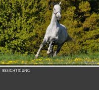 Bauernhaus mit eingezäuntem Grundstück. !!! Nordrhein-Westfalen - Wilnsdorf Vorschau