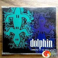 Dolphin ‎– Warriors Of The Rainbow⬅️maxi ➡️ Kreis Ostholstein - Neustadt in Holstein Vorschau