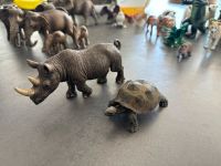 Schleich Savanne Safari Nashorn Schildkröte GROSS Hessen - Hasselroth Vorschau