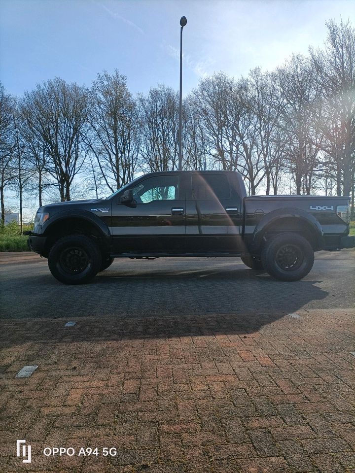 Ford F150 5.0 V8 Roush XLT Black Leder Sound Fox powerful in Kleve