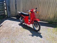 Honda Scoopy SH50 Mofa Nordrhein-Westfalen - Hagen Vorschau