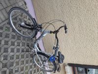 City Bike Damenrad Curtis Fahrrad Tiefeinstieg Sachsen - Waltersdorf Vorschau