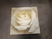 Ikea Pjätteryd Leinwand Bild " White Iceberg Rosé " Bayern - Buttenwiesen Vorschau