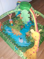 Fisher Price Rainforest Berlin - Hellersdorf Vorschau