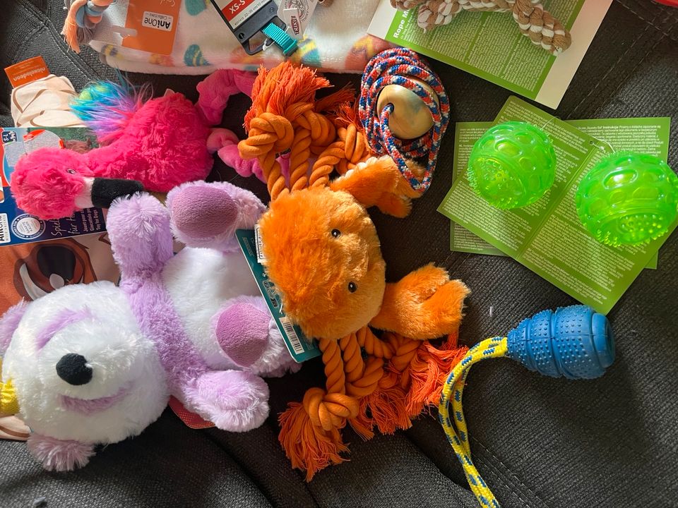 Großes Hundepaket Welpe Spielzeug inklusive Versand in Daaden