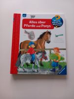 Kinderbuch Alles über Pferde und Ponys Nordrhein-Westfalen - Solingen Vorschau