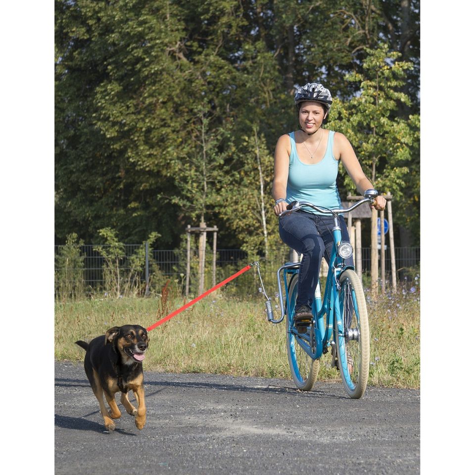 *NEU* M-WAVE Hundeführungsstange Dog Walk für (E)-Bike in Braunlage