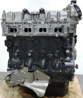 Motor Fiat Ducato 3.0 EU4 generalüberholt ohne Anbauteile Nordrhein-Westfalen - Rheinberg Vorschau