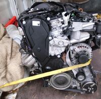 ✔️ Motor RH02 2.0HDI FIAT SCUDO 2010-2014 49TKM UNKOMPLETT Berlin - Wilmersdorf Vorschau