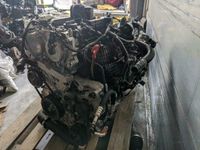 Motor Hyundai i30n 2.0i G4KH bj2019 Komplett Rheinland-Pfalz - Waldalgesheim Vorschau