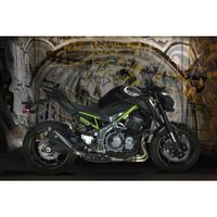 IXRACE Edelstahl-Endtopf M9 für Kawasaki Z 900 Niedersachsen - Harsefeld Vorschau