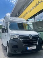 Renault Master 2-Pferdetransporter Nordrhein-Westfalen - Gevelsberg Vorschau