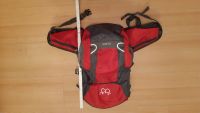 Rucksack TXJ Sports, rot und grau Sachsen - Dohna Vorschau