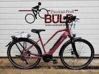 Raleigh Kent 9 E Bike Trekking Bosch Fahrrad Elektrorad -20% Niedersachsen - Vechta Vorschau