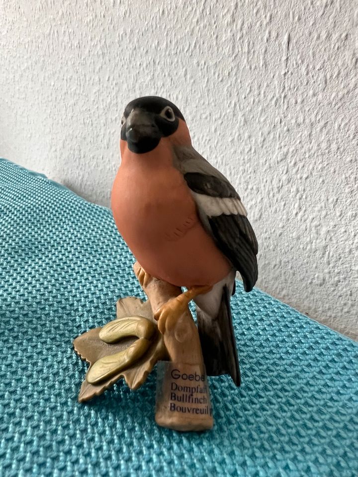 Goebel Vogel Figur Dompfaff Bullfinch in Dinslaken