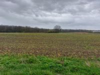 LANDWIRTSCHAFTLICHE FLÄCHE in Retzau; Gebotsverfahren!; Exposé beachten!!! Sachsen-Anhalt - Raguhn Vorschau