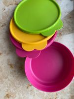 Tupperware Vorratsdosen *neu* Leipzig - Eutritzsch Vorschau