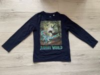 Dino langarm Shirt Jurassic World neu Dresden - Äußere Neustadt Vorschau