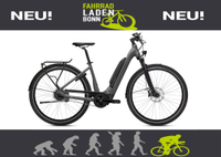 Flyer Upstreet5 5.40 Pannasonic RHM/48 75Nm 630Wh FLB22 N402 Bonn - Dransdorf Vorschau
