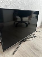 Siemens Fernseher Full HD 27 Zoll Sachsen - Eilenburg Vorschau