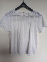 Babydoll Shirt Größe 46/48 neu Baden-Württemberg - Albstadt Vorschau