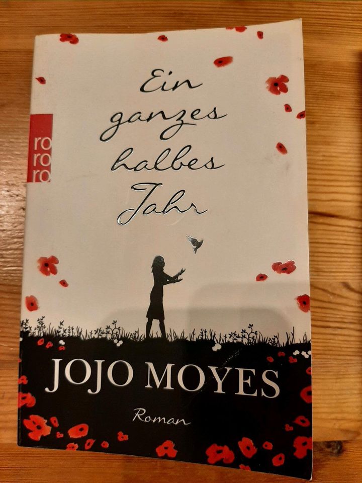 Jojo Moyes im Schatten das Licht/ ganzes halbes Jahr/ neues Leben in Berlin