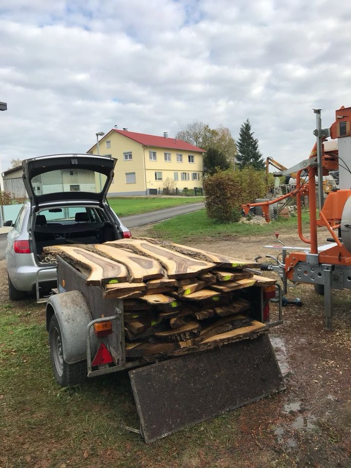 Walnuss Holz aufgesägt getrocknet, Dielen, Bohlen, Bretter, Möbel in Plüderhausen