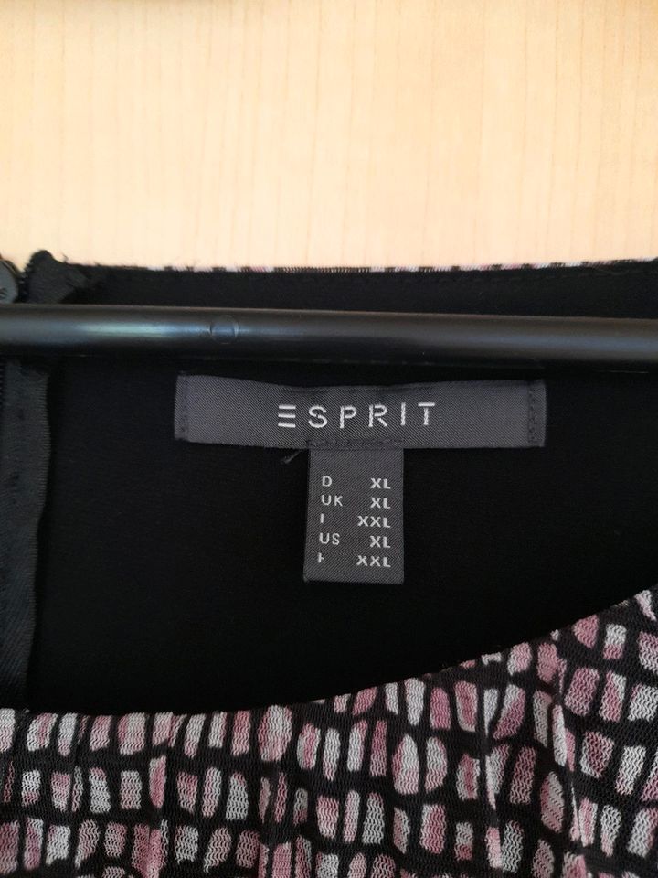 Esprit Kleid Gr.XL in Neuwied