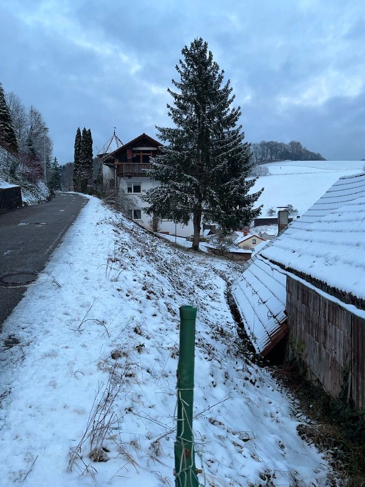 Vermiete Scheune / Lagerfläche / Pferdestall in Oberzent