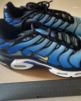 Nike TN Air Max Plus OG 39,5 Nordrhein-Westfalen - Paderborn Vorschau
