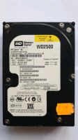 Festplatte Western Digital WD2500JD 3,5 Zoll 250GB Nordrhein-Westfalen - Meerbusch Vorschau