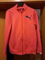 Puma Weste Rheinland-Pfalz - Wittlich Vorschau