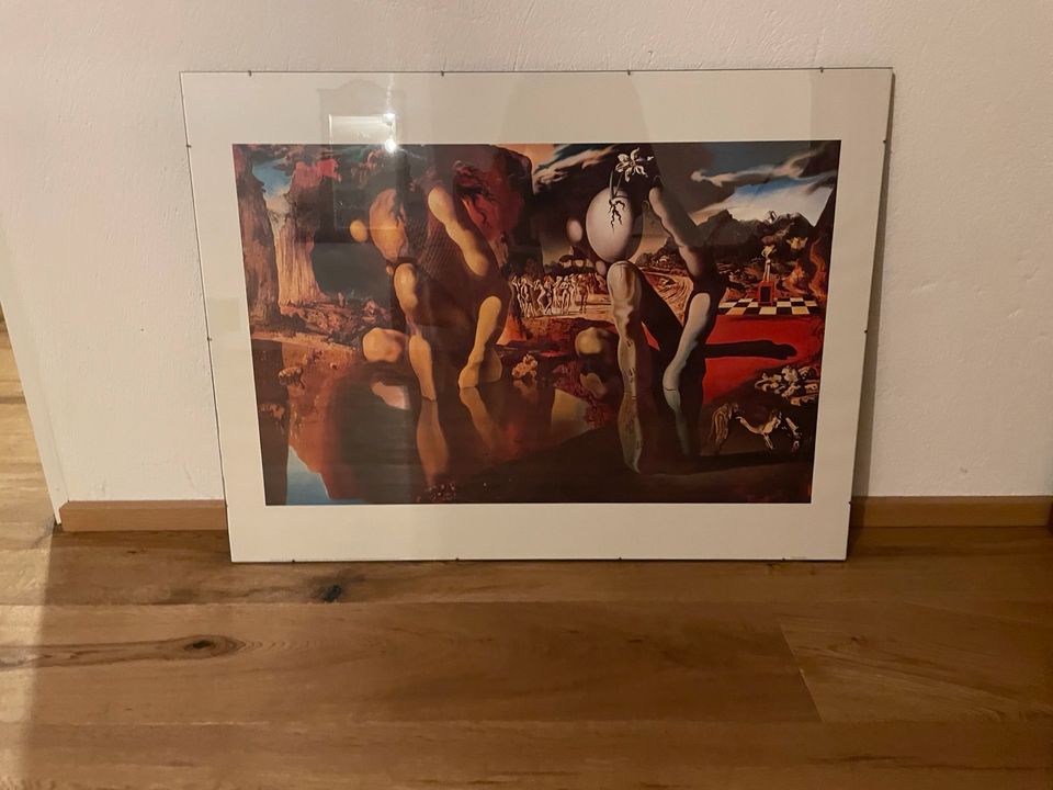 Salvador Dali Poster Metamorphose des Naziss Kunstdruck in Mainz