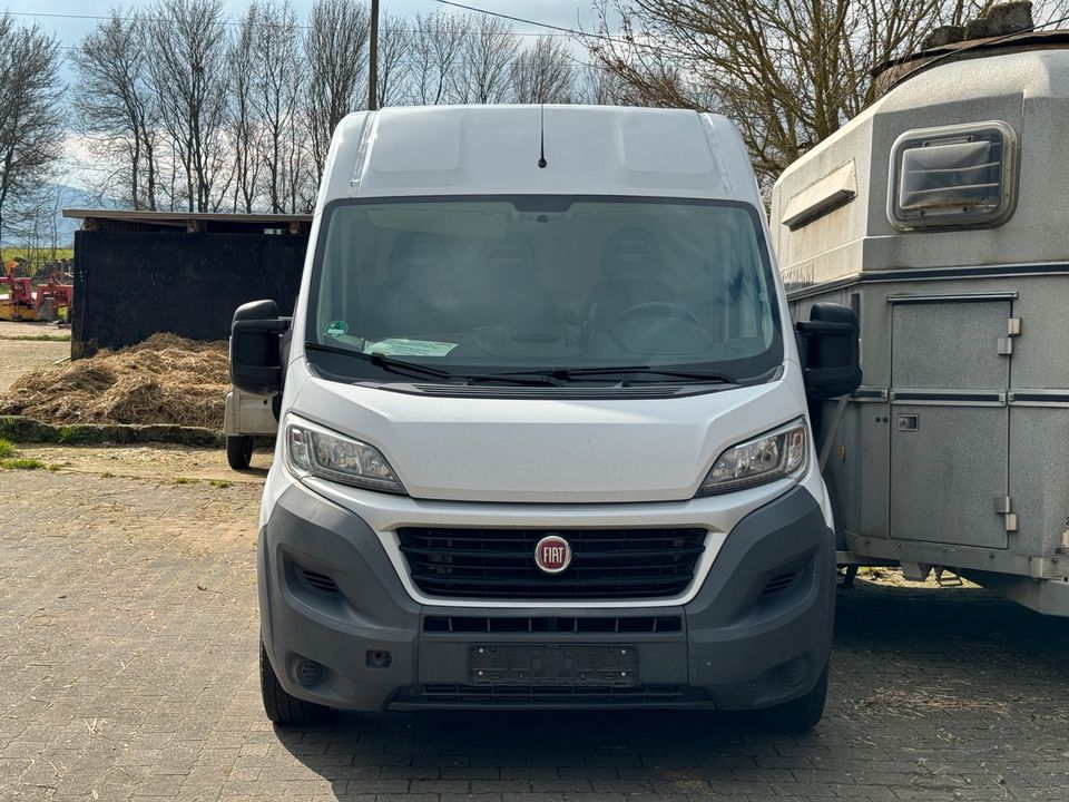 Fiat Ducato L2 H2 nicht Fahrbereit Mwst. Ausweisbar in Usingen