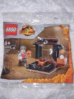 LEGO Jurassic World 30390 Dinosaur Market Polybag Nordrhein-Westfalen - Niederkassel Vorschau